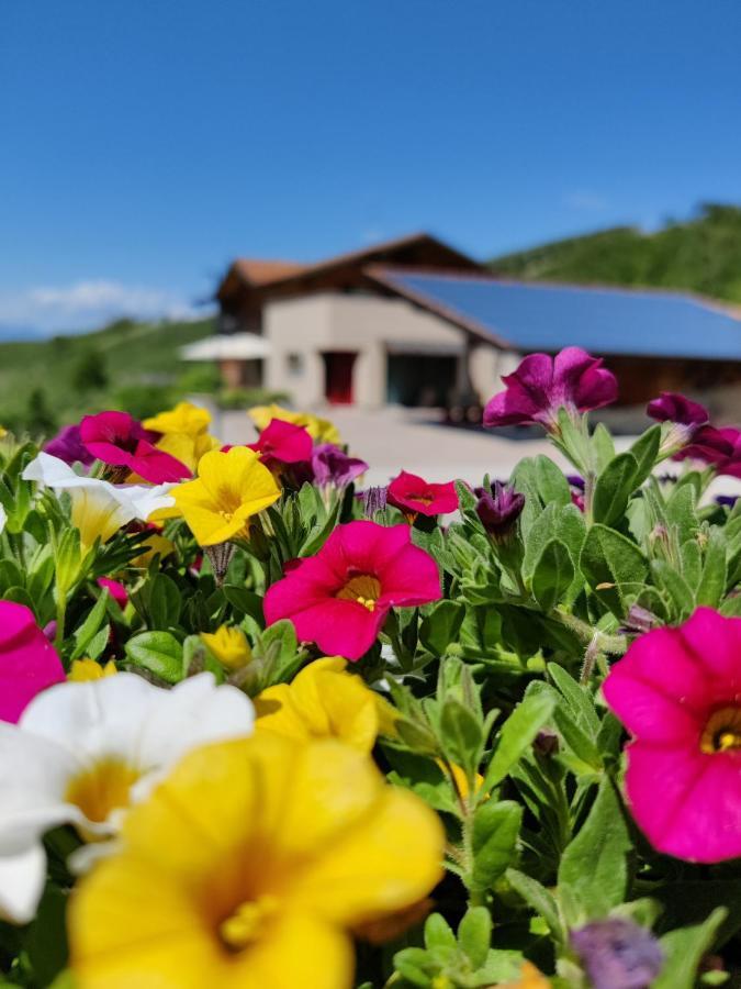 Bio Agritur Al Bait Villa Spormaggiore Exterior photo